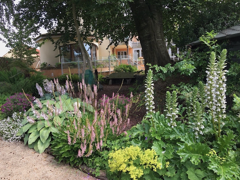 Skanda Vale Hospice Garden